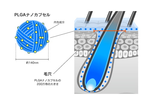 PLGAナノカプセルの大きさ