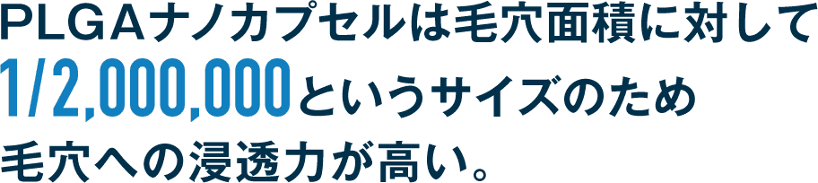 PLGAナノカプセルは毛穴面積に対して1/2,000,000というサイズのため毛穴への浸透力が高い